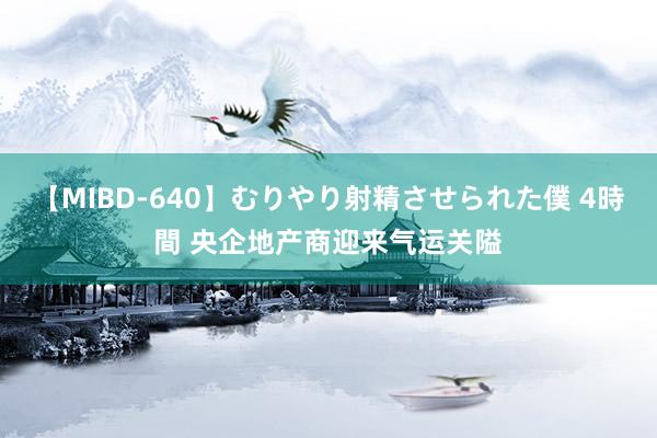 【MIBD-640】むりやり射精させられた僕 4時間 央企地产商迎来气运关隘