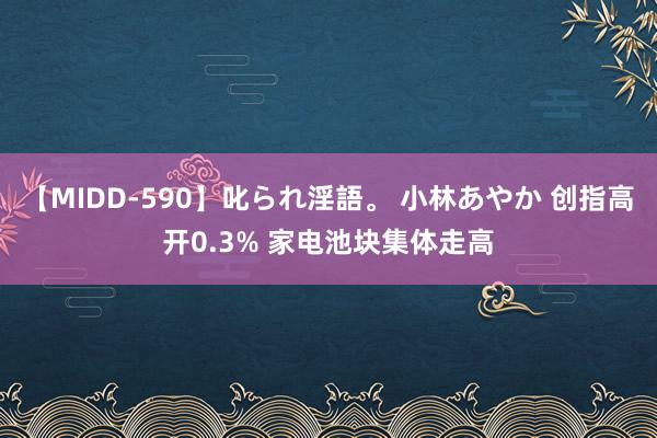 【MIDD-590】叱られ淫語。 小林あやか 创指高开0.3% 家电池块集体走高