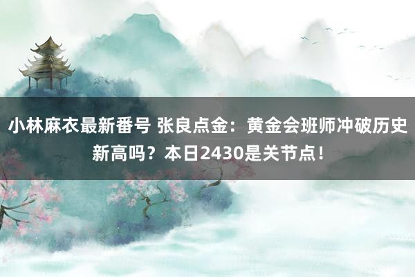 小林麻衣最新番号 张良点金：黄金会班师冲破历史新高吗？本日2430是关节点！