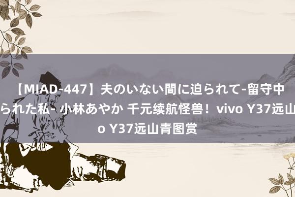 【MIAD-447】夫のいない間に迫られて-留守中に寝取られた私- 小林あやか 千元续航怪兽！vivo Y37远山青图赏