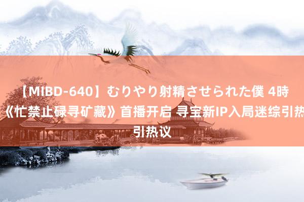 【MIBD-640】むりやり射精させられた僕 4時間 《忙禁止碌寻矿藏》首播开启 寻宝新IP入局迷综引热议