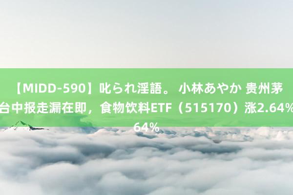 【MIDD-590】叱られ淫語。 小林あやか 贵州茅台中报走漏在即，食物饮料ETF（515170）涨2.64%