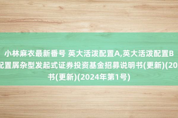 小林麻衣最新番号 英大活泼配置A，英大活泼配置B: 英大活泼配置羼杂型发起式证券投资基金招募说明书(更新)(2024年第1号)