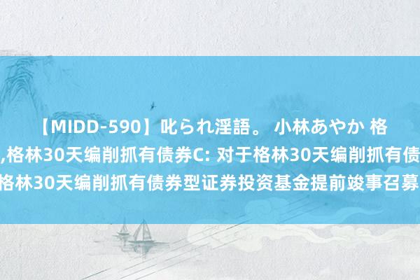 【MIDD-590】叱られ淫語。 小林あやか 格林30天编削抓有债券A，格林30天编削抓有债券C: 对于格林30天编削抓有债券型证券投资基金提前竣事召募的公告