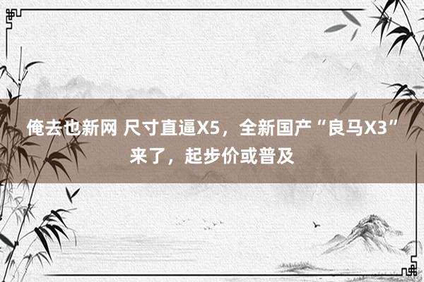 俺去也新网 尺寸直逼X5，全新国产“良马X3”来了，起步价或普及