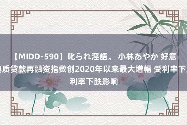 【MIDD-590】叱られ淫語。 小林あやか 好意思国典质贷款再融资指数创2020年以来最大增幅 受利率下跌影响