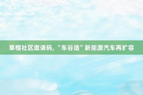 草榴社区邀请码， “车谷造”新能源汽车再扩容