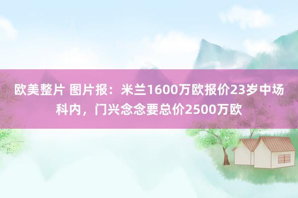 欧美整片 图片报：米兰1600万欧报价23岁中场科内，门兴念念要总价2500万欧