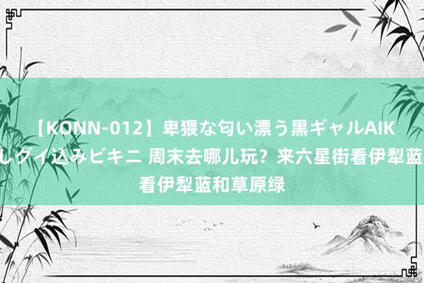 【KONN-012】卑猥な匂い漂う黒ギャルAIKAの中出しグイ込みビキニ 周末去哪儿玩？来六星街看伊犁蓝和草原绿