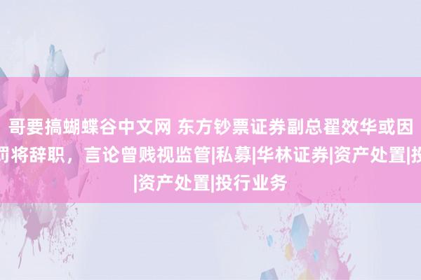 哥要搞蝴蝶谷中文网 东方钞票证券副总翟效华或因监管处罚将辞职，言论曾贱视监管|私募|华林证券|资产处置|投行业务