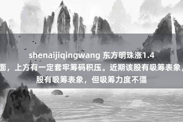 shenaijiqingwang 东方明珠涨1.46%，中期趋势方面，上方有一定套牢筹码积压。近期该股有吸筹表象，但吸筹力度不彊