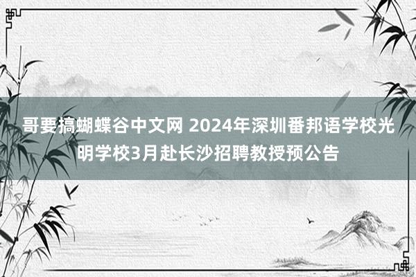 哥要搞蝴蝶谷中文网 2024年深圳番邦语学校光明学校3月赴长沙招聘教授预公告