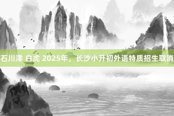 石川澪 白虎 2025年，长沙小升初外语特质招生取消